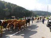 2018 Gstaad 11