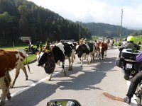 2018 Gstaad 12